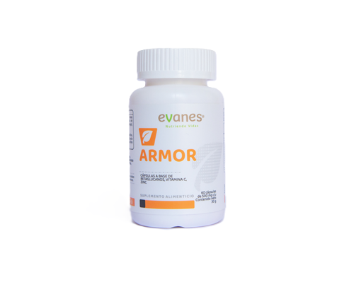 https://evanes.scaesi.com/producto/armor/